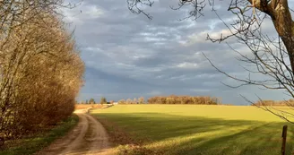 Sentier de la Fournière version courte - Villefagnan