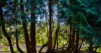 Sentier des Monts & Vallées - Nanteuil-en-Vallée