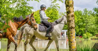 La route des cardinaux : Dampierre / St-Savinien_Dampierre-sur-Boutonne