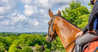 La route des Cardinaux : St Savinien / Pont l'Abbé_Le Mung