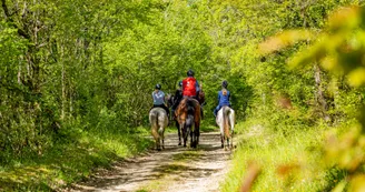 La route des Cardinaux : Pont l'Abbé / Cozes_Pont-l'Abbé-d'Arnoult