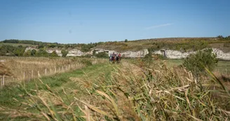 La Route des Cardinaux : Cozes / St Bonnet sur Gironde_Cozes
