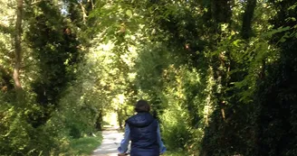 Rouillac : boucle locale 27 - boucle C_Rouillac