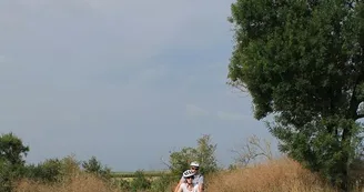 8a09f65751932abf1ee216e7666b344a6365f1ae.jpeg