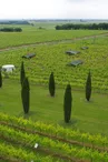 Le Cep Enchanté - Parc d'activités oenotouristiques