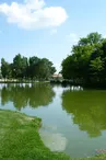 Etang du parc Barabeau