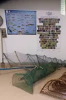 Musée de la pêche aux lignes et aux engins