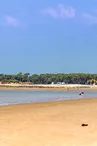 Plage des Pins de Cordouan
