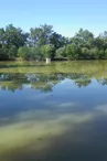 Etang de pêche de Chardes