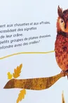 Exposition "Suis du doigt la Chouette"