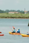 Les Détours sur l'eau : Dans l'intimité des marais - Kayak & Nature en Seudre