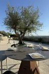 Garden Restaurant Royan